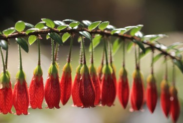 深圳光明区1私人快速借钱网，轻松解决资金难题