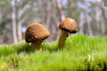 深圳光明区1私人老板放款：轻松融资的秘密通道